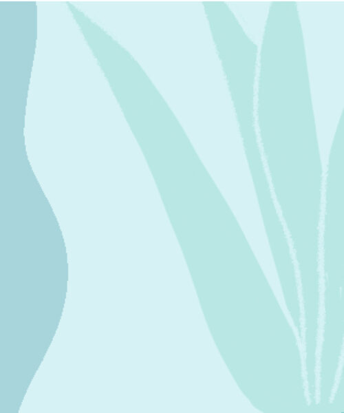 Long COVID and female hormones booklet