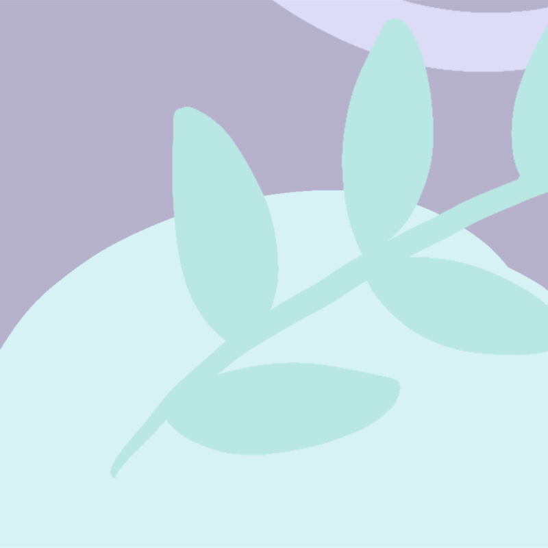 Family history of breast cancer: Should I take HRT? Factsheet